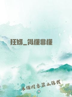 頭號狂婿
