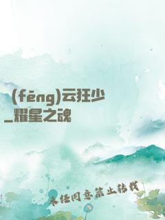 風(fēng)云狂少