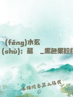 風(fēng)水玄術(shù)：墓聞錄