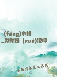 風(fēng)水相師