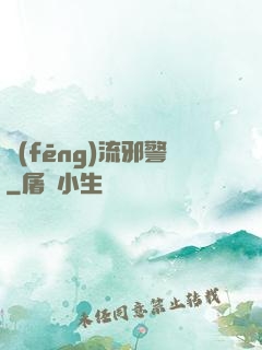 風(fēng)流邪警