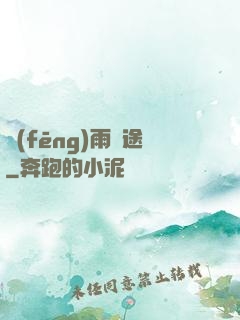 風(fēng)雨歸途
