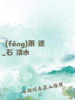 風(fēng)雨歸途