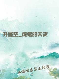 飛升星空