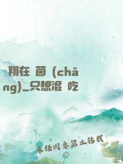 飛翔在綠茵場(chǎng)