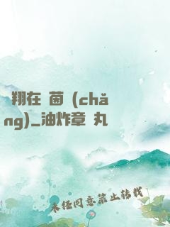 飛翔在綠茵場(chǎng)