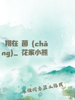 飛翔在綠茵場(chǎng)