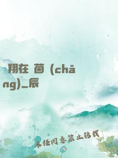飛翔在綠茵場(chǎng)