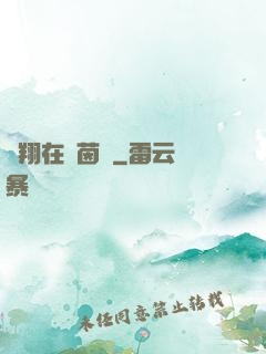 飛翔在綠茵場