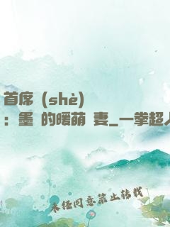 首席設(shè)計師：墨總的暖萌嬌妻