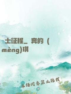 騎士征程