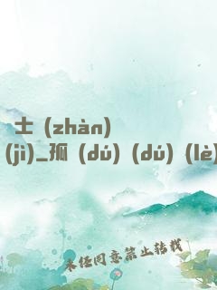 騎士戰(zhàn)紀(jì)