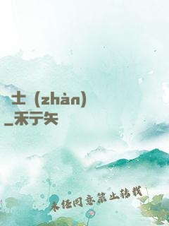 騎士戰(zhàn)紀