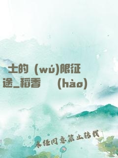 騎士的無(wú)限征途
