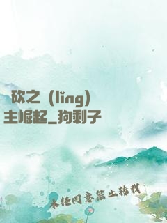 騎砍之領(lǐng)主崛起