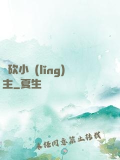 騎砍小領(lǐng)主