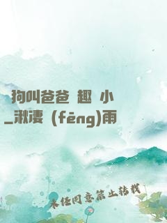 騷狗叫爸爸筆趣閣小說
