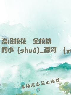 高冷?；S為全校精靈的小說(shuō)
