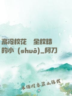 高冷?；S為全校精靈的小說(shuō)