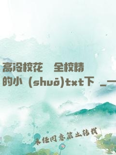高冷?；S為全校精靈的小說(shuō)txt下載