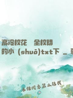 高冷?；S為全校精靈的小說(shuō)txt下載