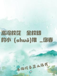 高冷?；S為全校精靈的小說(shuō)推薦