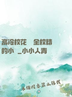 高冷?；S為全校精靈的小說