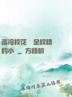 高冷?；S為全校精靈的小說