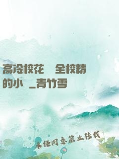 高冷?；S為全校精靈的小說