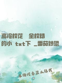 高冷?；S為全校精靈的小說txt下載