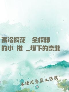 高冷?；S為全校精靈的小說推薦