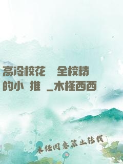 高冷?；S為全校精靈的小說推薦