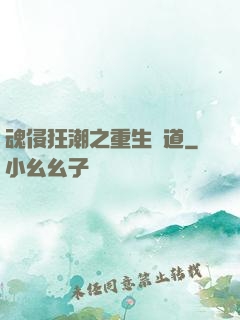 魂侵狂潮之重生問道