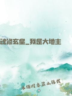 魂修玄皇