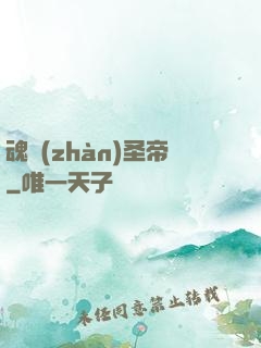 魂戰(zhàn)圣帝