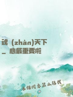 魂戰(zhàn)天下