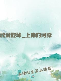 魂武乾坤