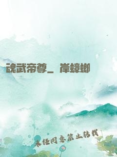 魂武帝尊