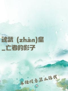 魂武戰(zhàn)皇