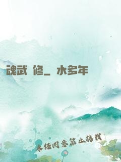 魂武雙修