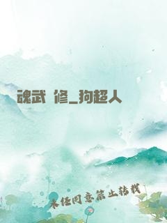 魂武雙修