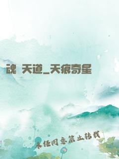 魂煉天道
