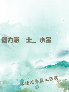魅力游戲劍士