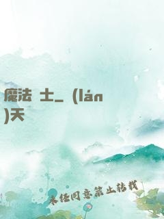 魔法騎士