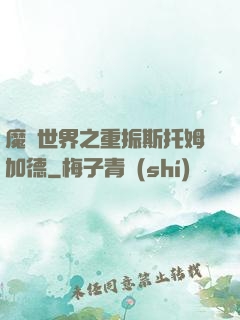 魔獸世界之重振斯托姆加德