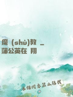 魔術(shù)教練