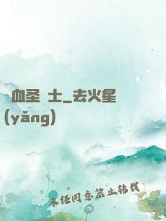 鮮血圣騎士