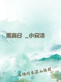 黑商日記