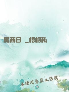 黑商日記