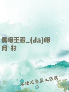 黑暗王者